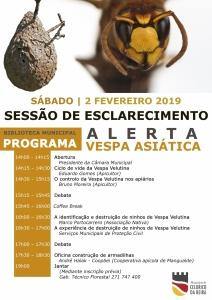 cartaz-vespa asiatica