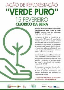 reflorestação