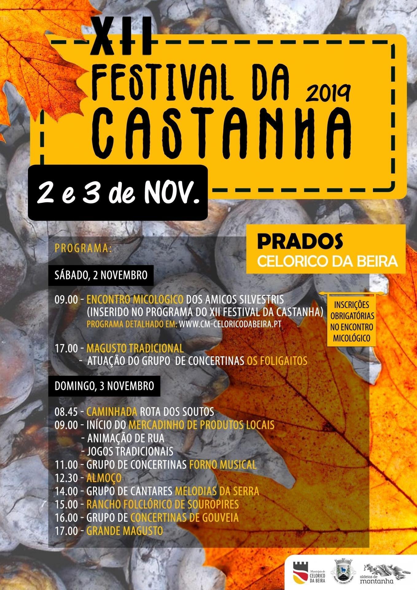 festival da castanha