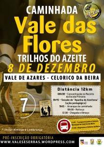 Caminhada Trilhos de Azeite Vale de Azares