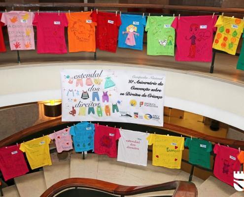 IMG 0458 copy scaled