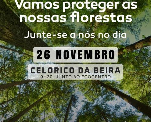 TerraEsperanca Cartaz vamos reflorestar pages to jpg 0001 scaled