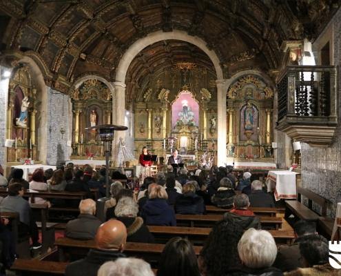 IMG 2257 copy scaled