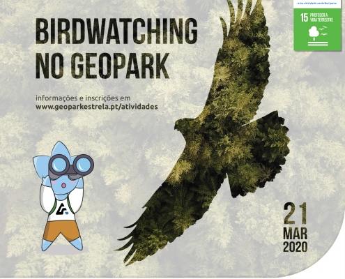 Cartaz Birdwatching 1500
