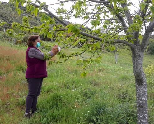 20200514 123158 scaled