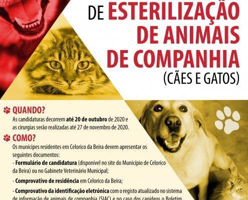 cartaz esterelização scaled