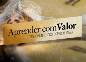 aprender com valor scaled