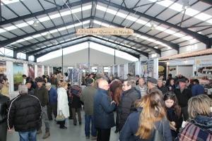 galeria 0011 IMG 4364 scaled