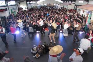 galeria 0015 IMG 1343 scaled