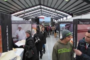 galeria 0018 IMG 0352 scaled