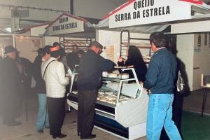 galeria 0020 IMG 2550 scaled