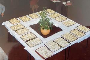 galeria 0023 IMG 2557 scaled