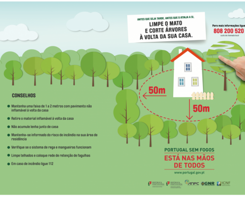 limpeza de terrenos imagem