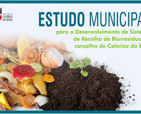 estudomunicipalcelorico