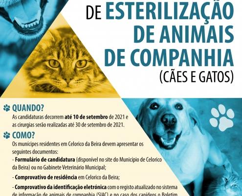 cartaz esterelizacao 10set scaled