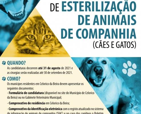 cartaz esterelizacao 2021