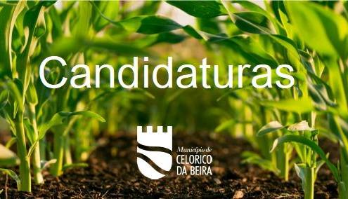 Candidaturas PRD
