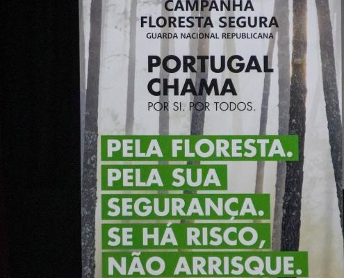 DSC07385 scaled e1646320094107