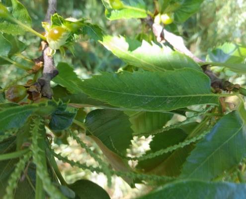 20220527 121133 scaled