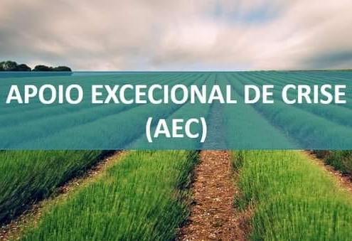 280352756 1993704950795664 990976697397373281 n