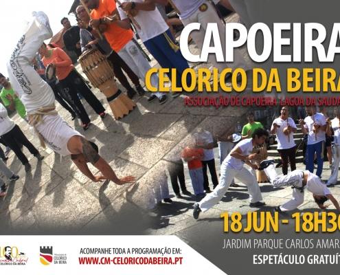 capoeira