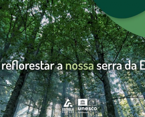 cartao reflorestar 1 1