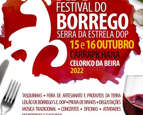 Festival Borrego XIV 2