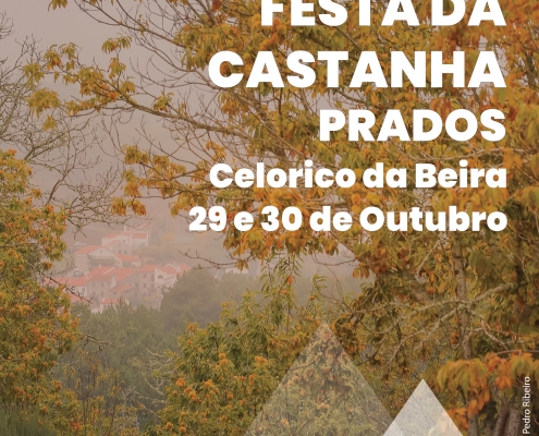 Cartaz Festa da Castanha 2022 scaled