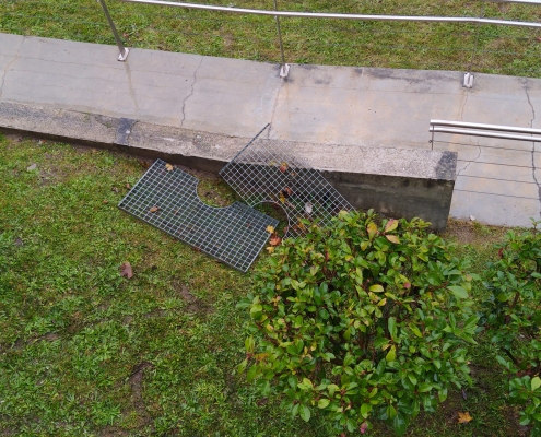 WhatsApp Image 2022 12 05 at 14.31.26 scaled