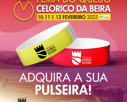 layout postspulseiras