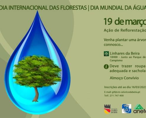 Cartaz diamundial floresta 2023 1
