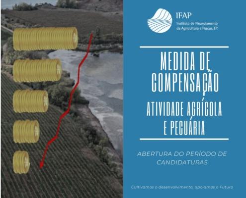 345636639 783794276430943 2652569284602403424 n