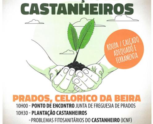 Plantacao De Castanheiros