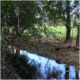 Ribeira De Linhares