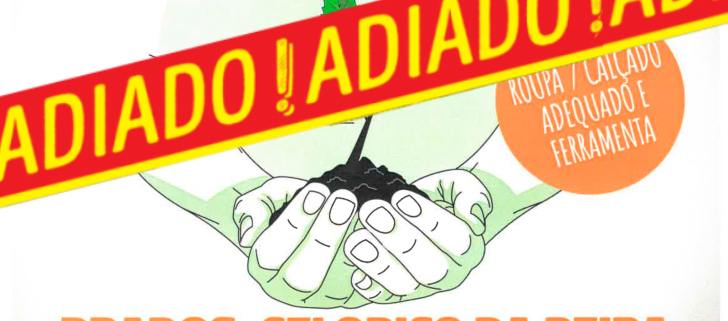 Plantacao Castanheiros Adiado
