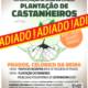 Plantacao Castanheiros Adiado