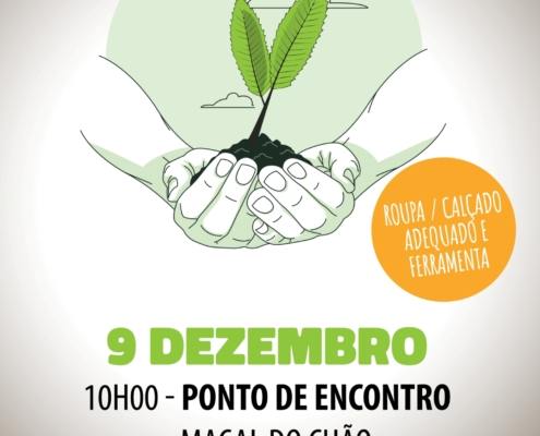 Reflorestação Maçal