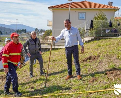 Reflorestação Verde Puro (31)