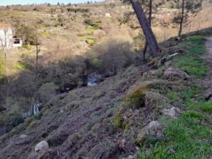 Trabalhos De Limpeza (10)