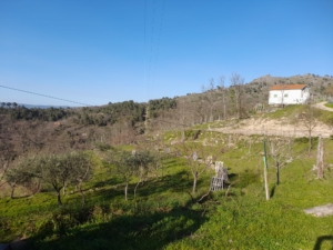 Trabalhos De Limpeza (11)