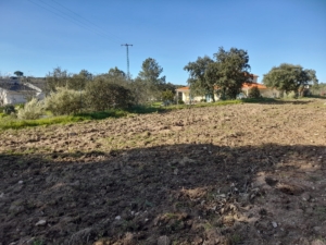 Trabalhos De Limpeza (2)