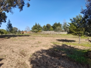 Trabalhos De Limpeza (3)