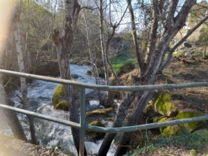 Trabalhos De Limpeza (3)