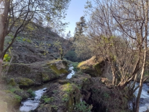 Trabalhos De Limpeza (4)