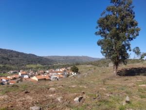 Trabalhos De Limpeza (2)