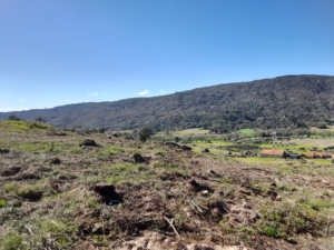 Trabalhos De Limpeza (3)