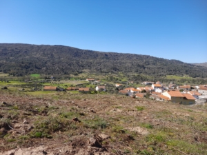 Trabalhos De Limpeza (5)