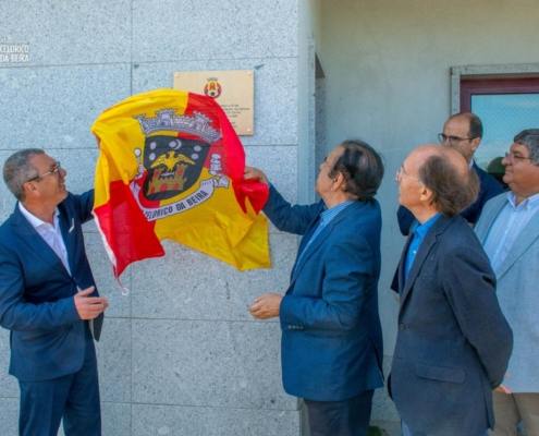 Relvado Sintético (32)