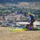 F Int Parapente 2024 (15)
