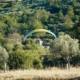 F Int Parapente 2024 (69)